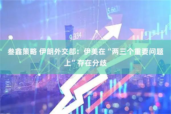 叁鑫策略 伊朗外交部：伊美在“两三个重要问题上”存在分歧