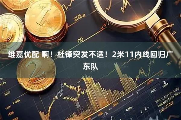 维嘉优配 啊！杜锋突发不适！2米11内线回归广东队